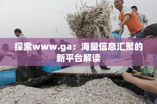探索www.ga：海量信息汇聚的新平台解读