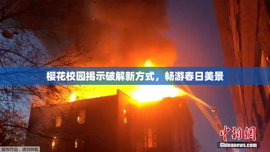 樱花校园揭示破解新方式，畅游春日美景
