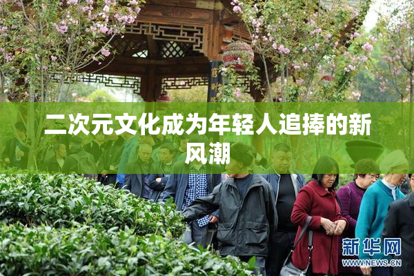 二次元文化成为年轻人追捧的新风潮