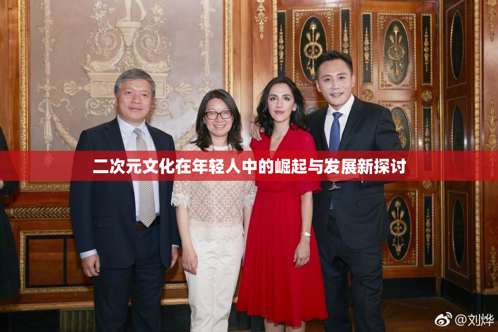 二次元文化在年轻人中的崛起与发展新探讨