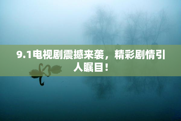 9.1电视剧震撼来袭，精彩剧情引人瞩目！