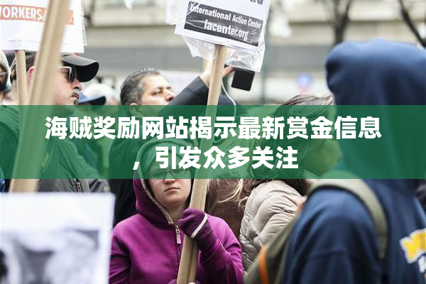 海贼奖励网站揭示最新赏金信息，引发众多关注