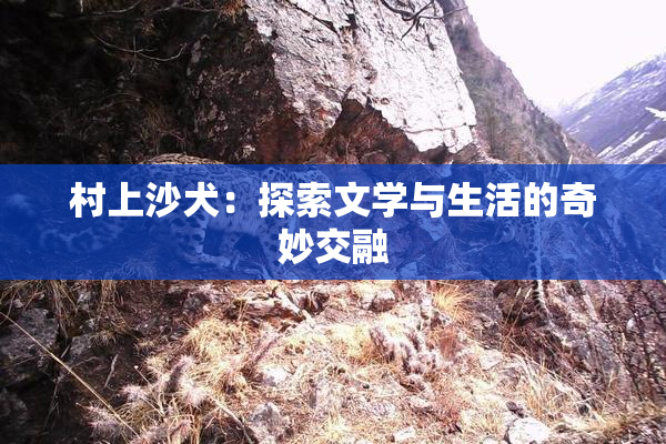 村上沙犬：探索文学与生活的奇妙交融