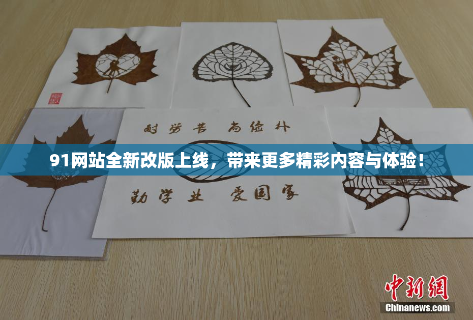 91网站全新改版上线，带来更多精彩内容与体验！