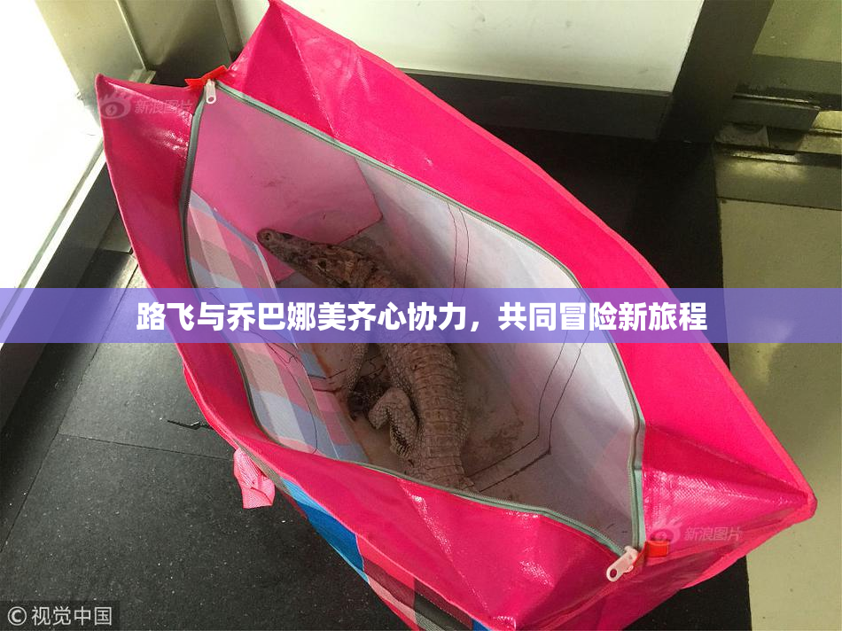 路飞与乔巴娜美齐心协力，共同冒险新旅程