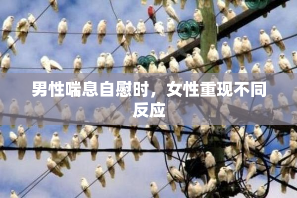 男性喘息自慰时，女性重现不同反应