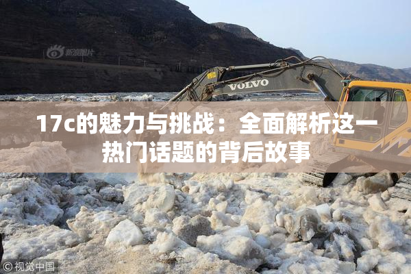 17c的魅力与挑战：全面解析这一热门话题的背后故事