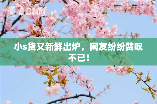 小s货又新鲜出炉，网友纷纷赞叹不已！
