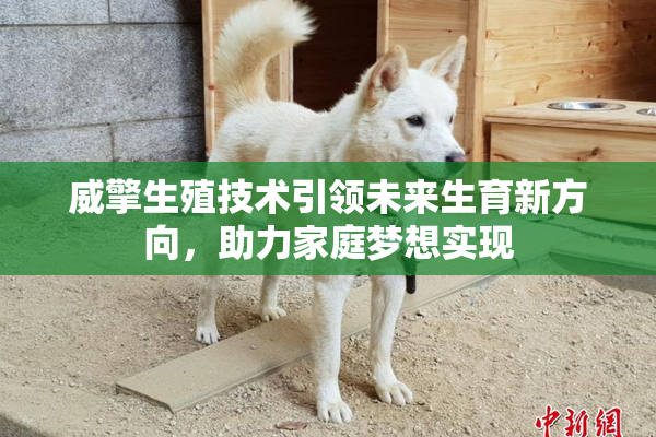 威擎生殖技术引领未来生育新方向，助力家庭梦想实现
