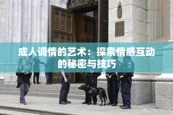 成人调情的艺术：探索情感互动的秘密与技巧