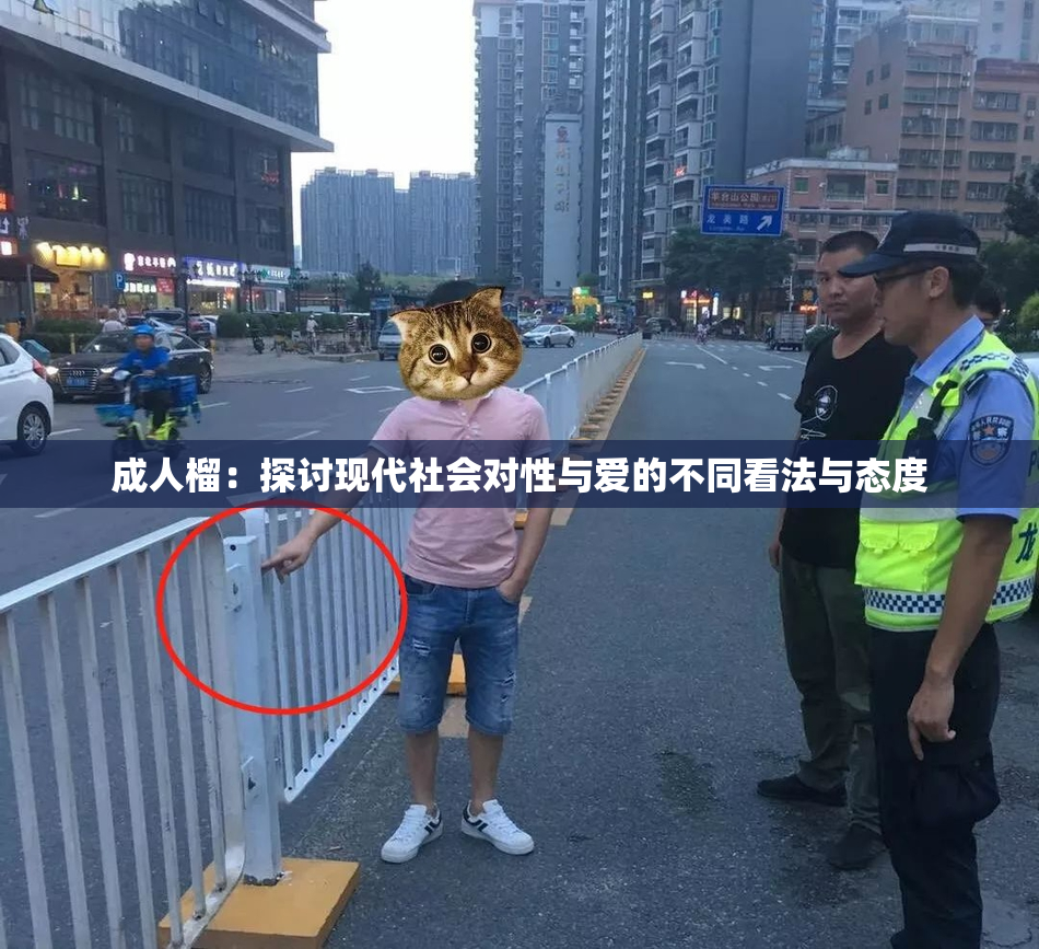 成人榴：探讨现代社会对性与爱的不同看法与态度