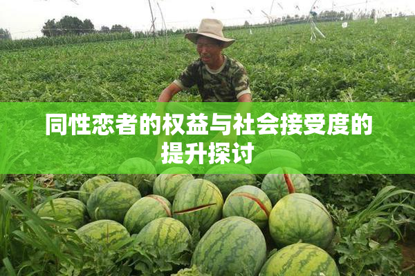 同性恋者的权益与社会接受度的提升探讨