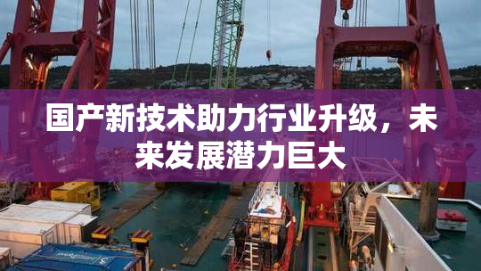 国产新技术助力行业升级，未来发展潜力巨大