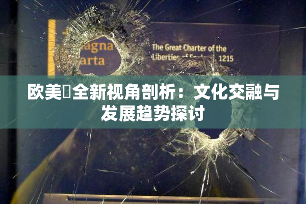 欧美巜全新视角剖析：文化交融与发展趋势探讨