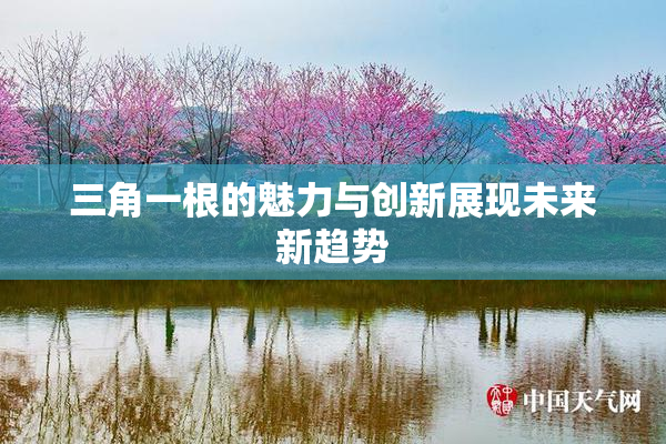 三角一根的魅力与创新展现未来新趋势