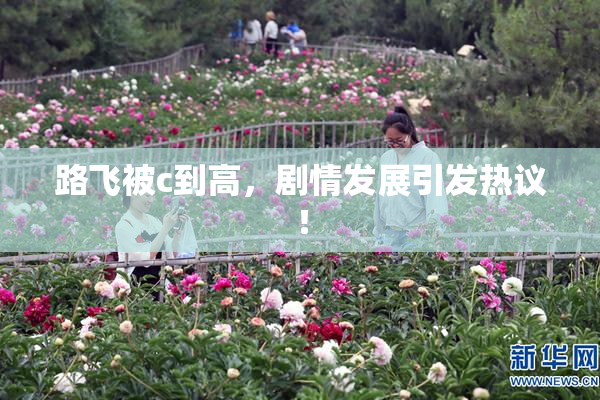 路飞被c到高，剧情发展引发热议！