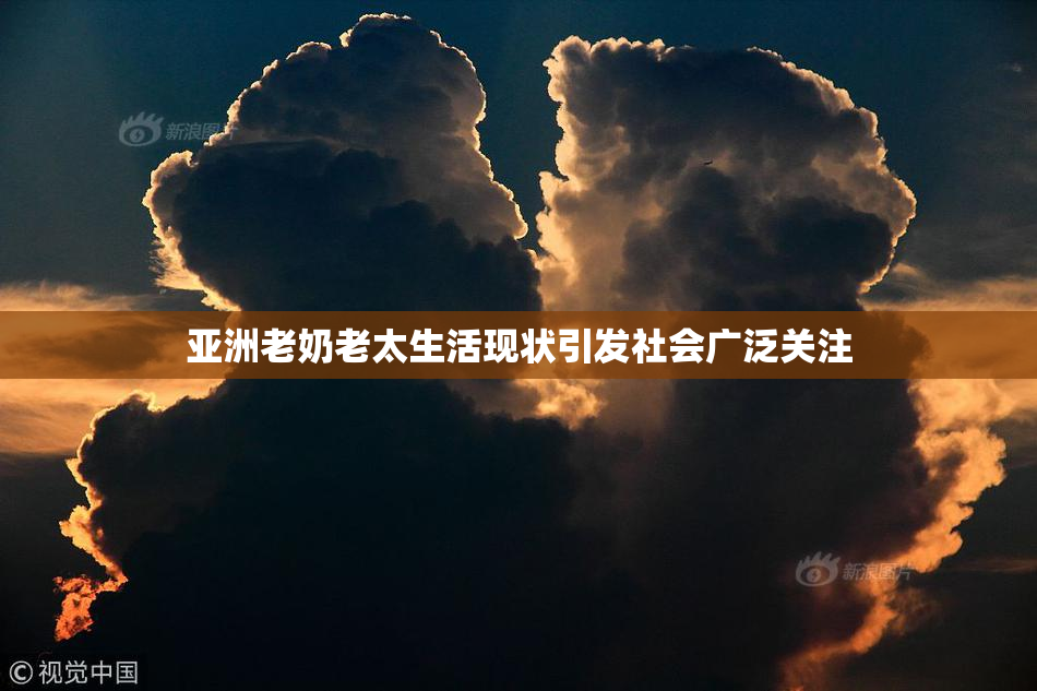 亚洲老奶老太生活现状引发社会广泛关注