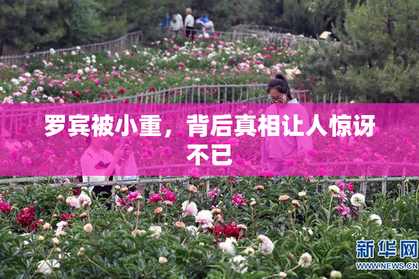 罗宾被小重，背后真相让人惊讶不已