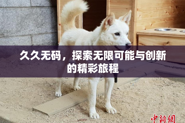 久久无码，探索无限可能与创新的精彩旅程