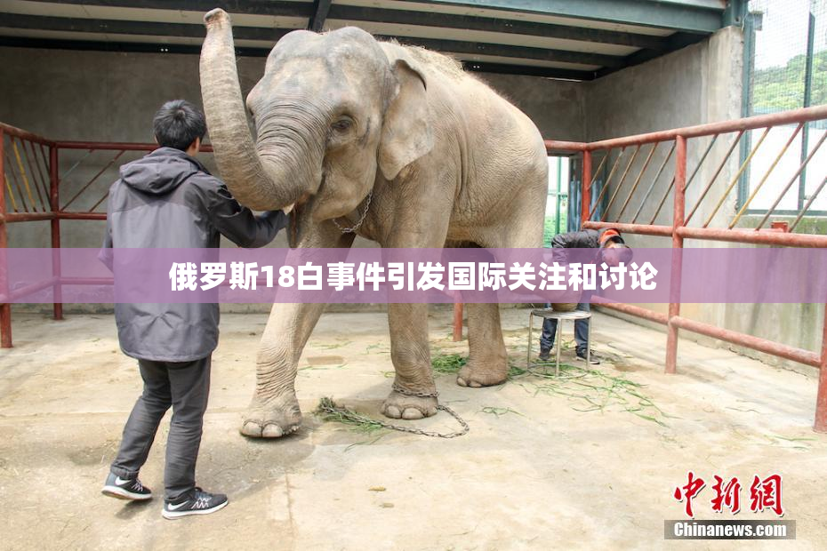 俄罗斯18白事件引发国际关注和讨论