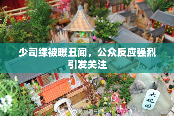 少司缘被曝丑闻，公众反应强烈引发关注