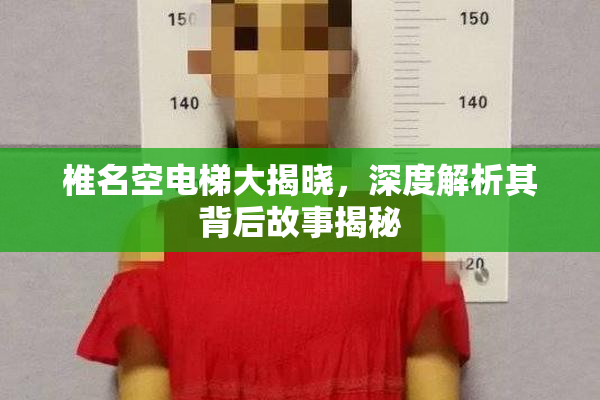椎名空电梯大揭晓，深度解析其背后故事揭秘