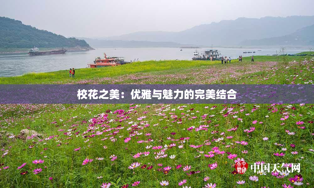 校花之美：优雅与魅力的完美结合