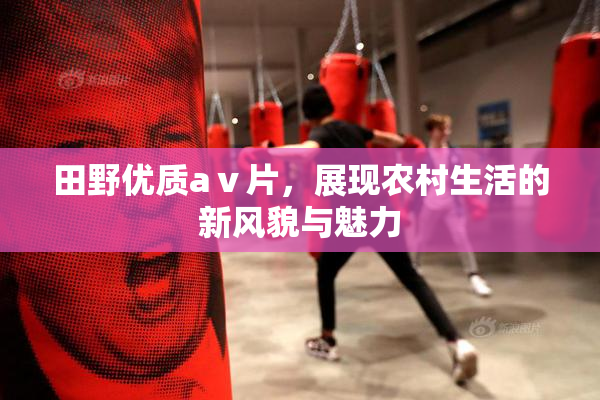 田野优质aⅴ片，展现农村生活的新风貌与魅力