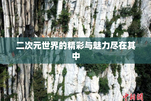 二次元世界的精彩与魅力尽在其中
