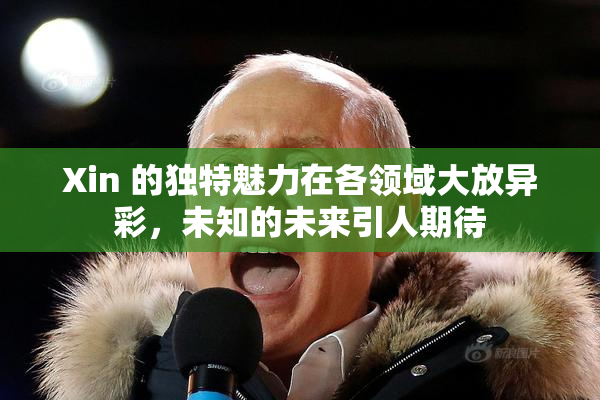 Xin 的独特魅力在各领域大放异彩，未知的未来引人期待