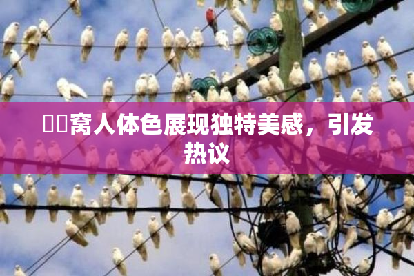 妺妺窝人体色展现独特美感，引发热议