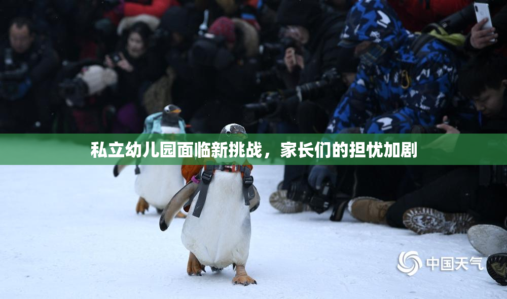 私立幼儿园面临新挑战，家长们的担忧加剧