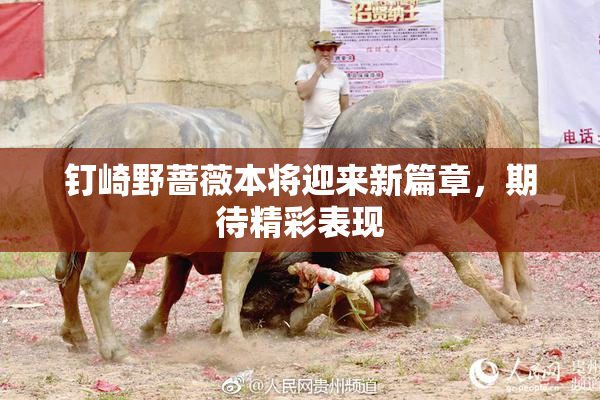 钉崎野蔷薇本将迎来新篇章，期待精彩表现