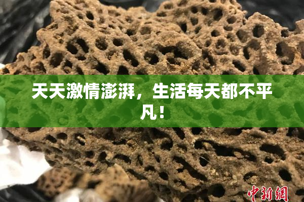 天天激情澎湃，生活每天都不平凡！