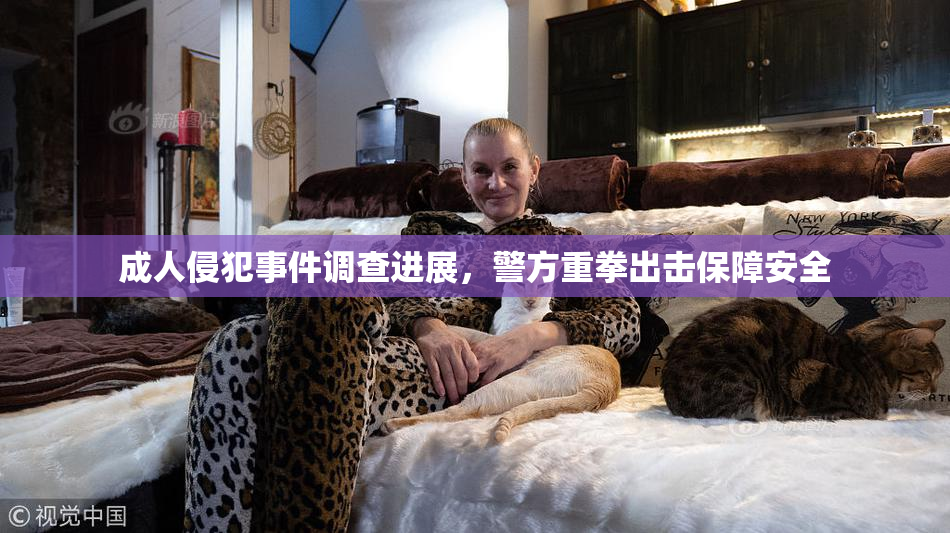 成人侵犯事件调查进展，警方重拳出击保障安全