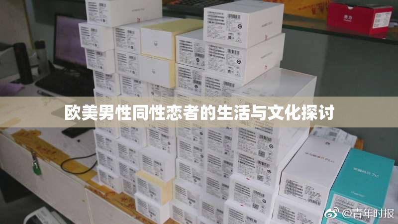 欧美男性同性恋者的生活与文化探讨