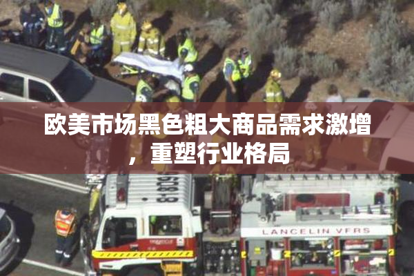 欧美市场黑色粗大商品需求激增，重塑行业格局