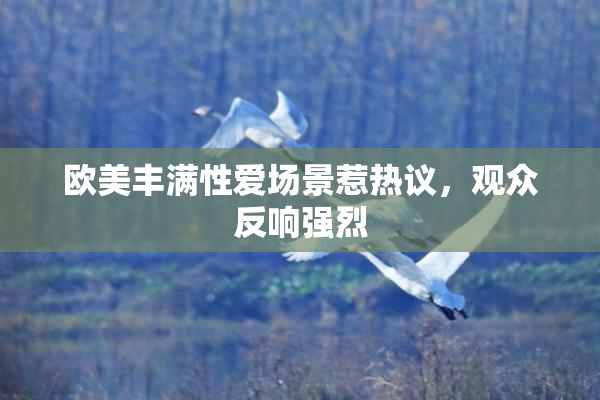 欧美丰满性爱场景惹热议，观众反响强烈