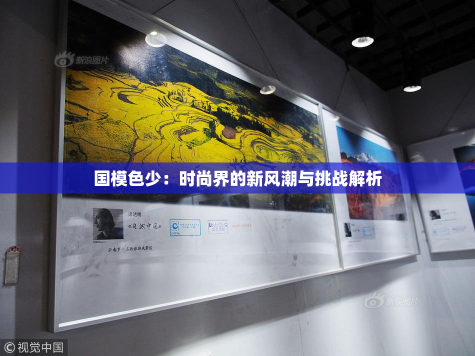 国模色少：时尚界的新风潮与挑战解析