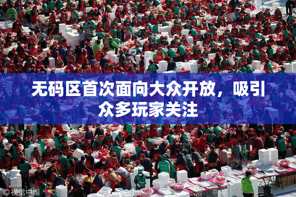 无码区首次面向大众开放，吸引众多玩家关注