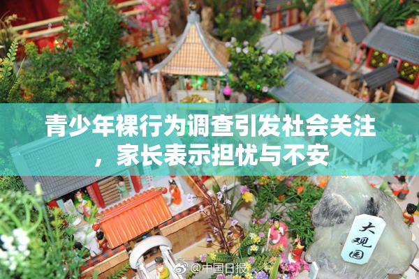 青少年裸行为调查引发社会关注，家长表示担忧与不安