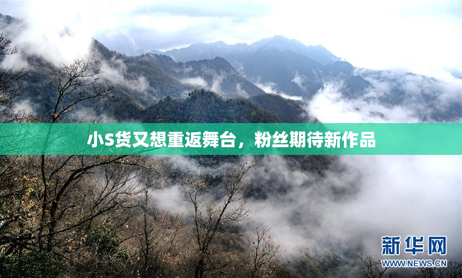 小S货又想重返舞台，粉丝期待新作品