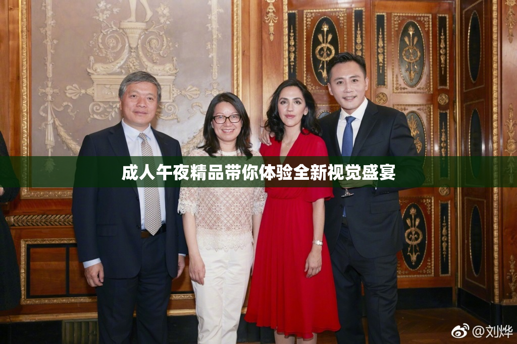 成人午夜精品带你体验全新视觉盛宴