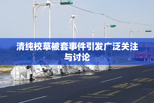 清纯校草被套事件引发广泛关注与讨论