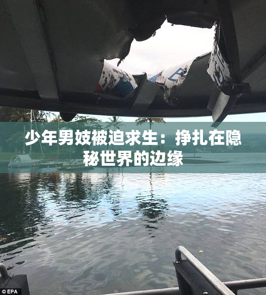 少年男妓被迫求生：挣扎在隐秘世界的边缘
