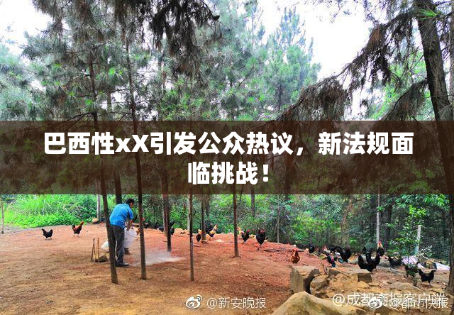 巴西性xX引发公众热议，新法规面临挑战！