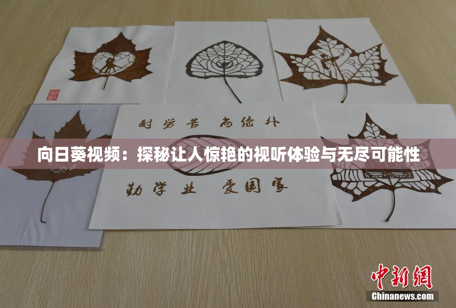 向日葵视频：探秘让人惊艳的视听体验与无尽可能性