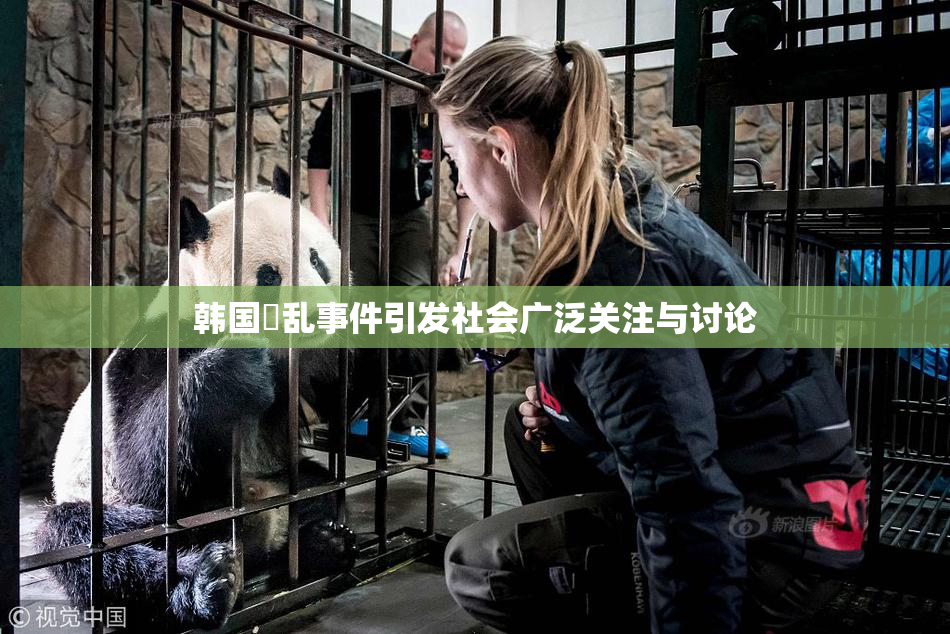韩国婬乱事件引发社会广泛关注与讨论