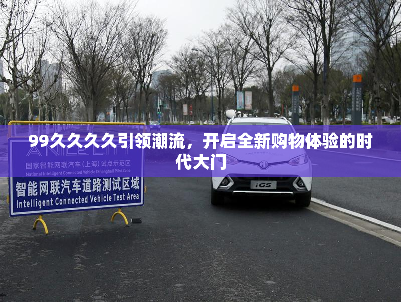 99久久久久引领潮流，开启全新购物体验的时代大门