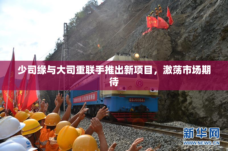 少司缘与大司重联手推出新项目，激荡市场期待